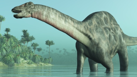 Dicraeosaurus Dinosaur